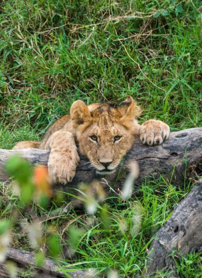 best-time-to-travel-kenya-2