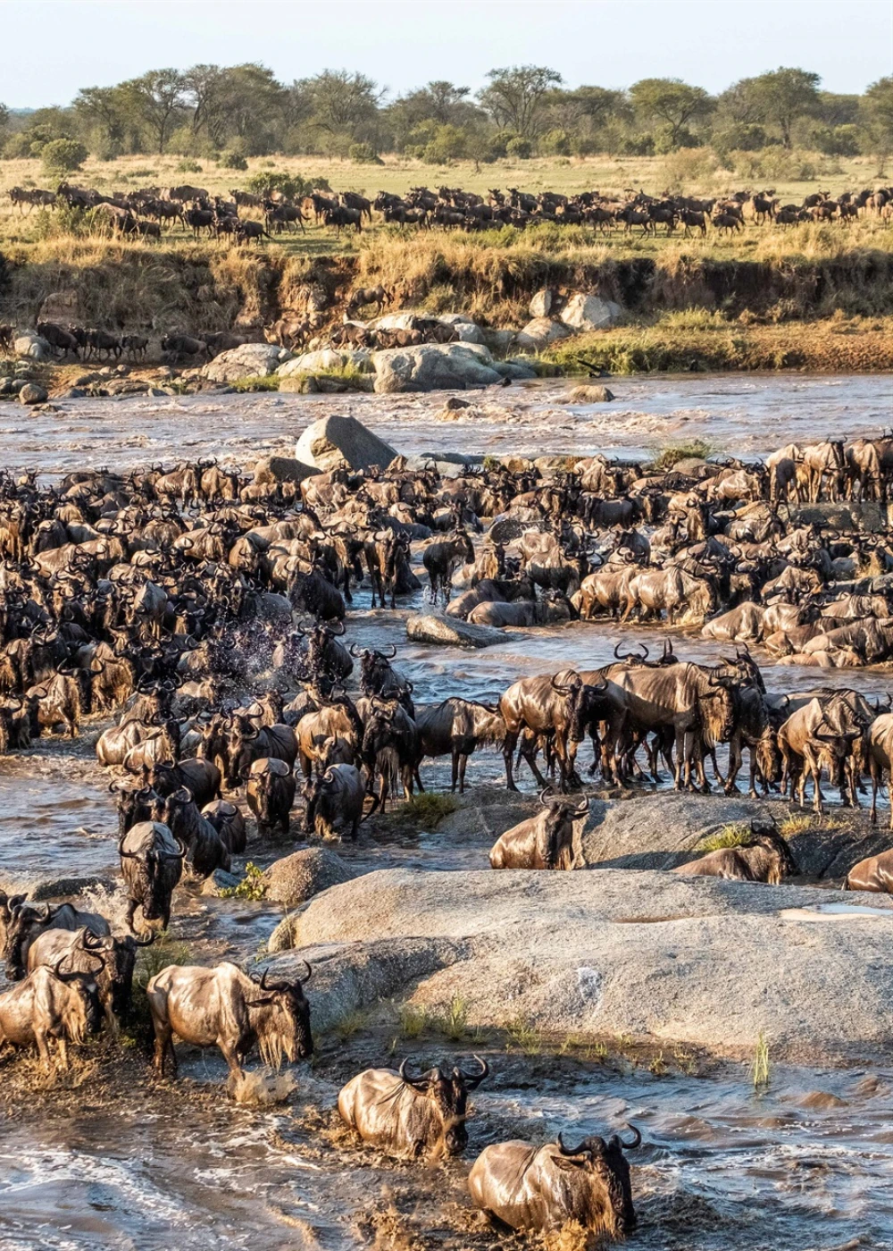 best-time-to-travel-kenya-4