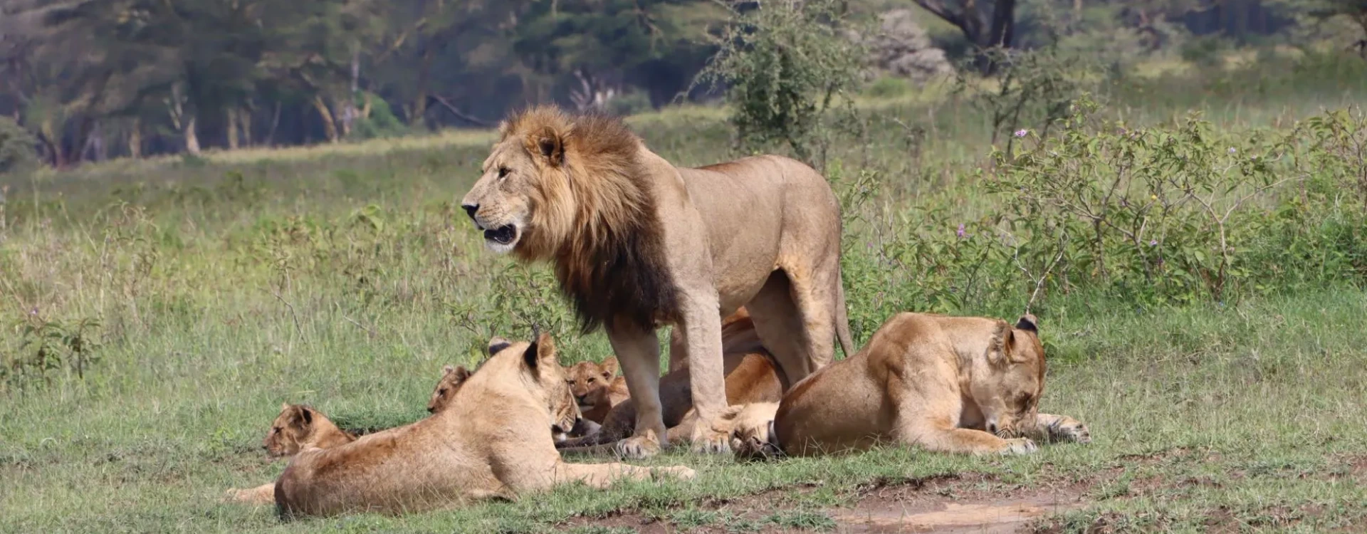 best-time-to-travel-kenya-7