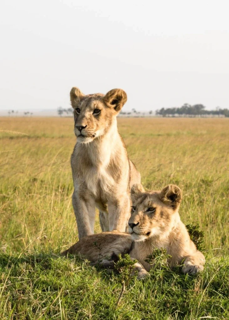 is-kenya-safe-to-travel-3