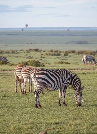 kenya-safari-cost-2