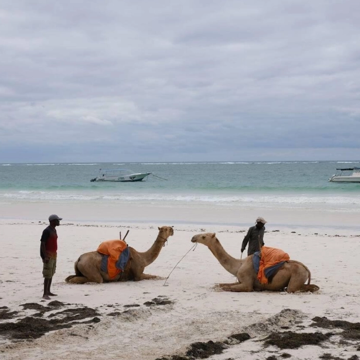 Diani Beach Attractions
