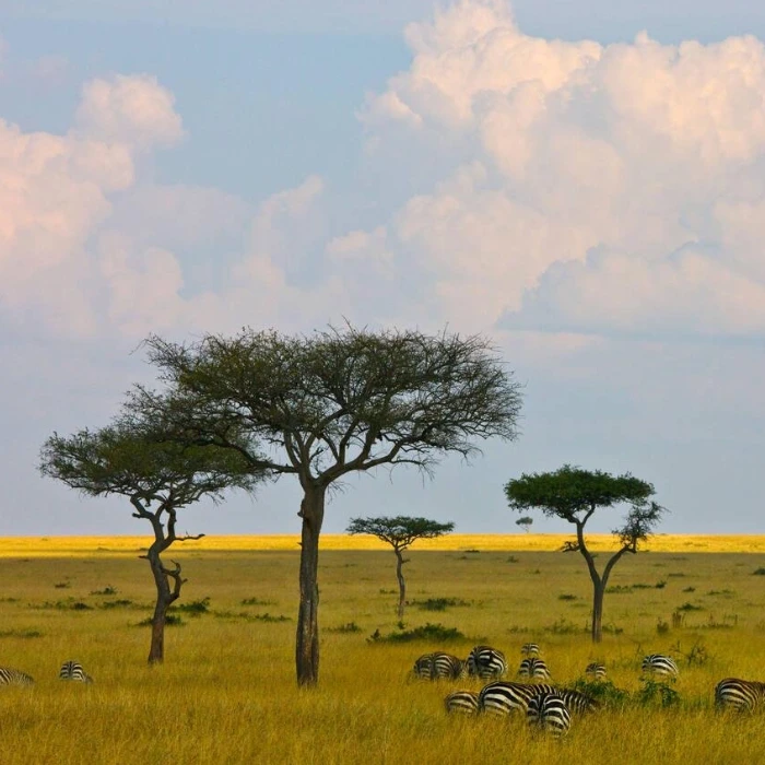 Tanzania Attractions