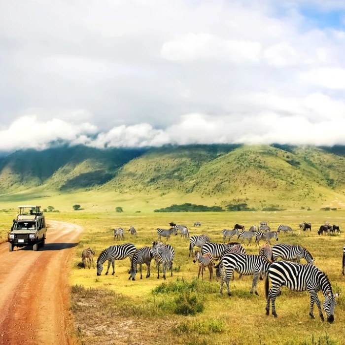 11-days-kenya-and-tanzania-safari-adventure-mid-luxury-package-3