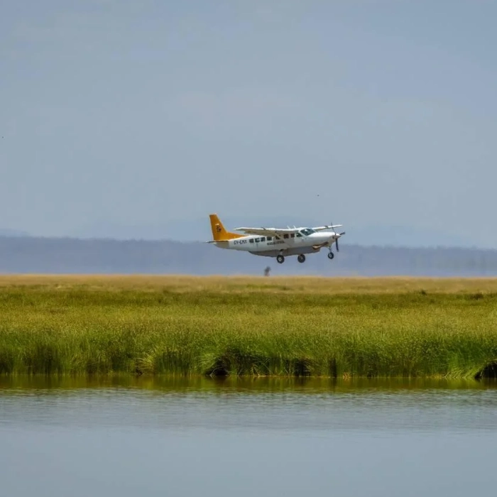 Amboseli Flying Safari
