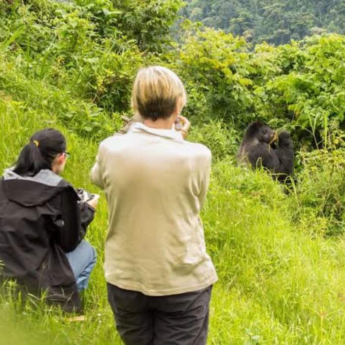 3-days-gorilla-trekking-experience-in-uganda-4