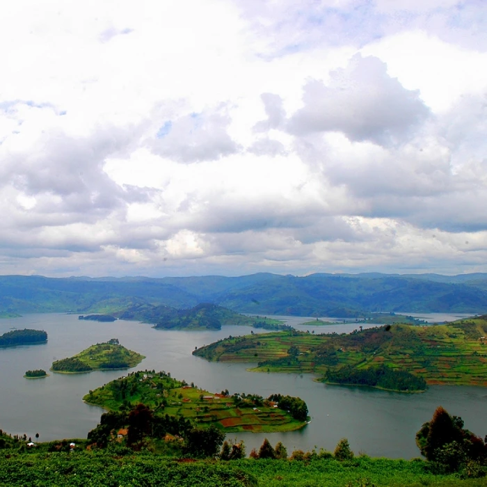 4-days-lake-mburo-safari-gorilla-trekking-in-bwindi-and-lake-bunyonyi-tour-uganda-5