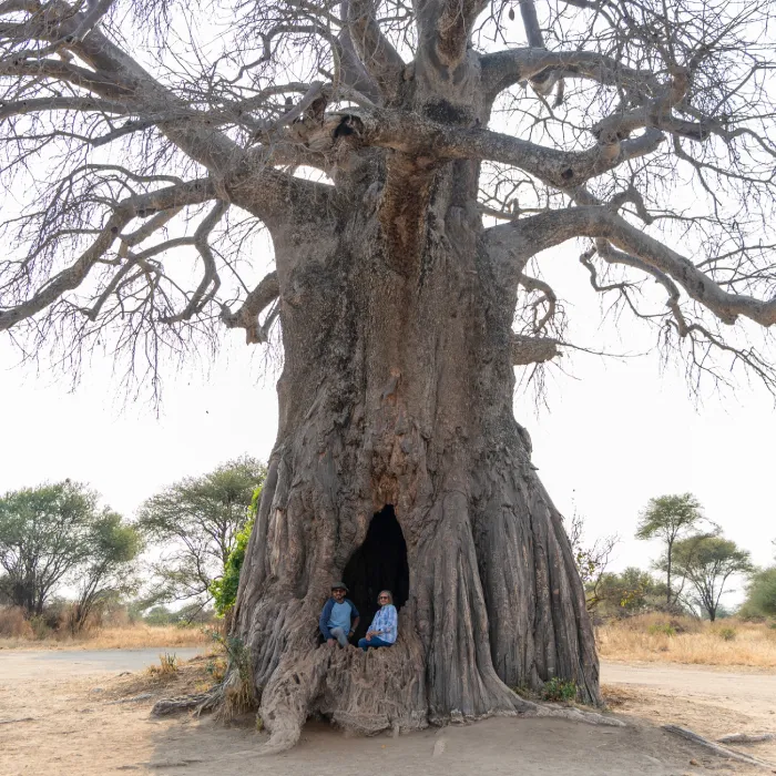 Tarangire Baobab