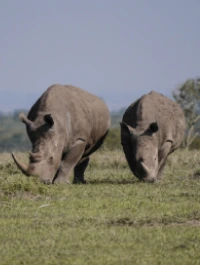 7-days-uganda-adventure-safari-1