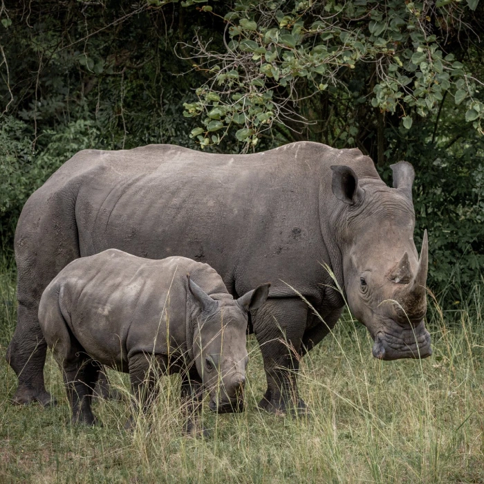 7-days-uganda-adventure-safari-5