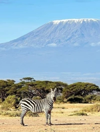 Amboseli Attractions