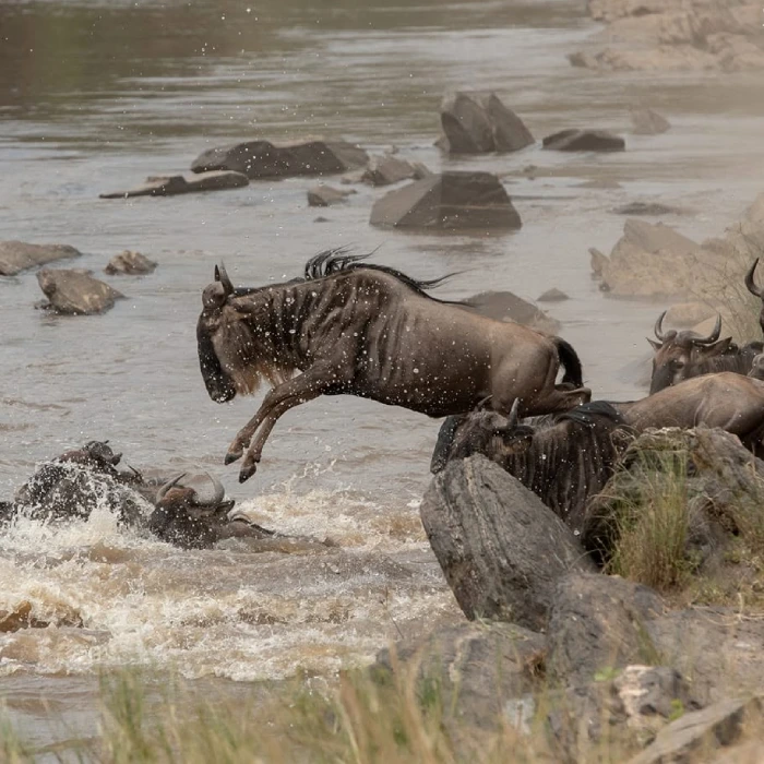 Masai mara Attractions
