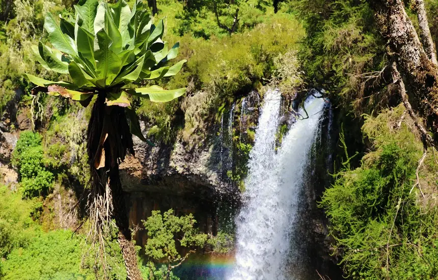 Aberdare Waterfall