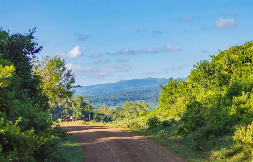 Aberdare National Park Attractions