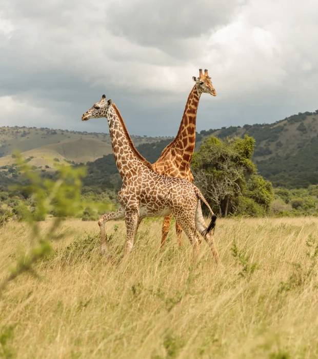 Arusha National Park