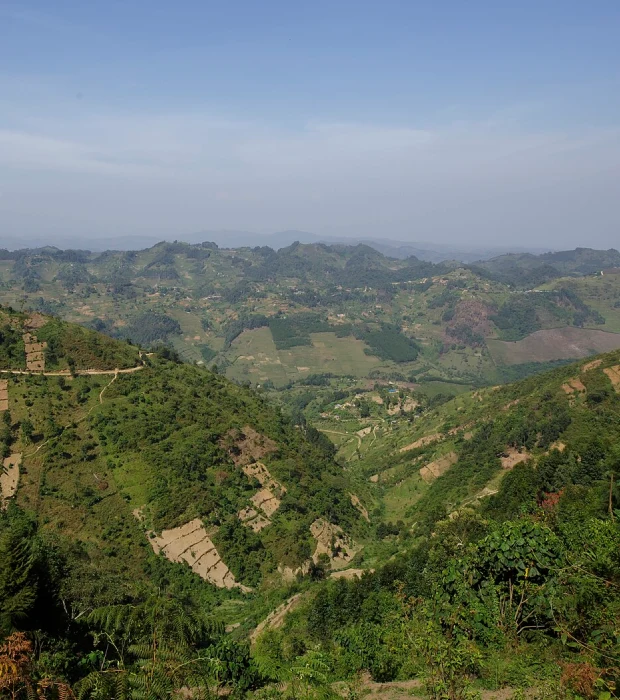 Bwindi Impenetrable National Park