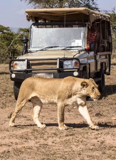 game-drive-2