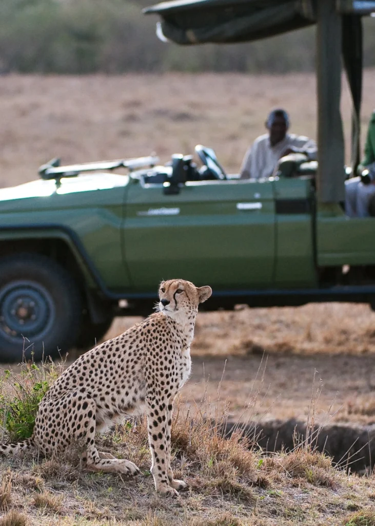 game-drive-3