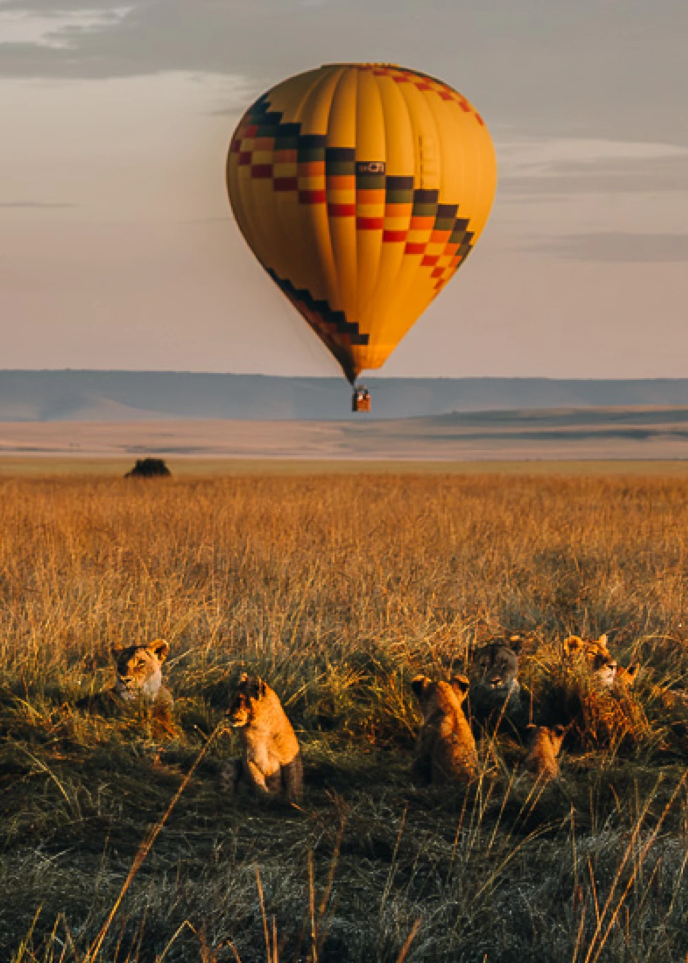 hot-air-balloon-safaris-3