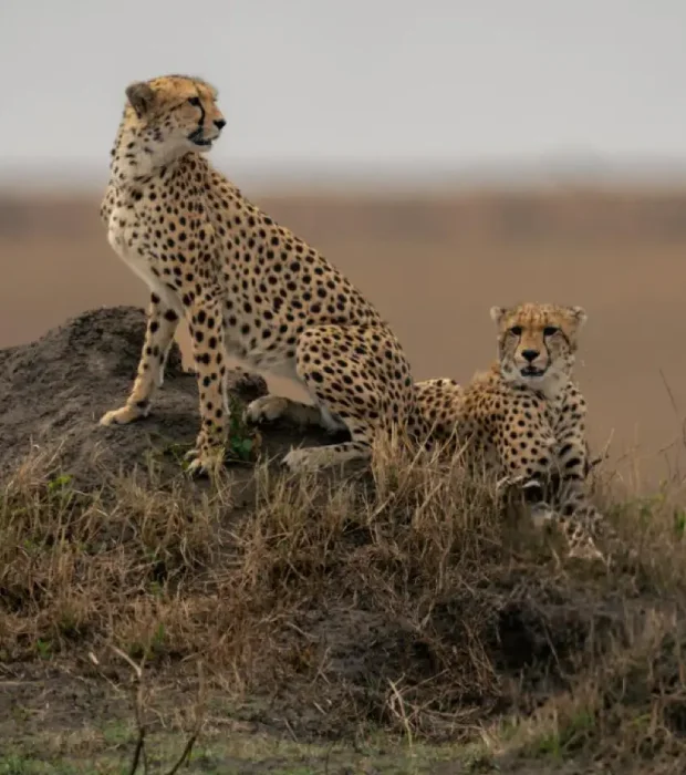 Kenya Destinations