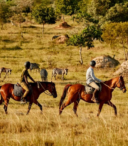 Horse Riding