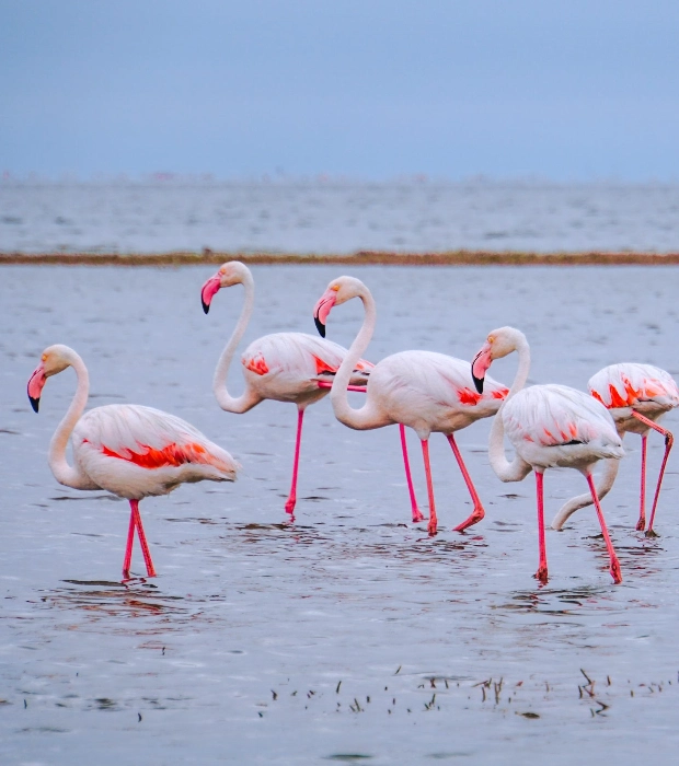 Lake Nakuru National Park