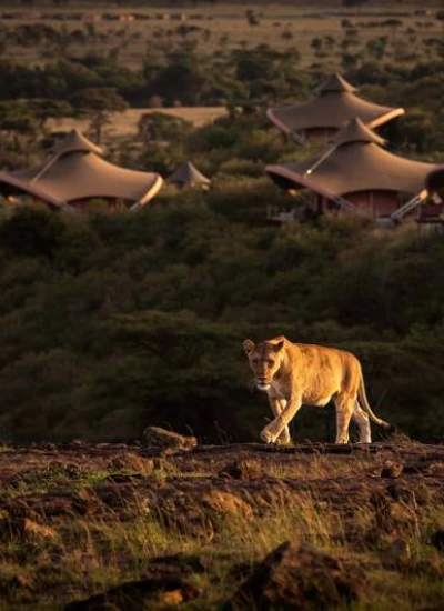 lodge-safaris-2