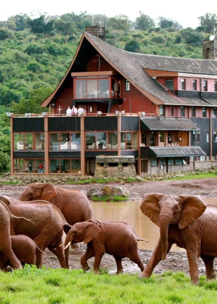 lodge-safaris-5