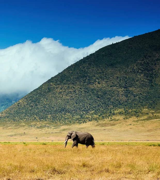 Ngorongoro Crater