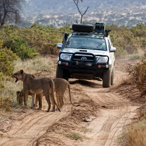 Samburu Game Drives