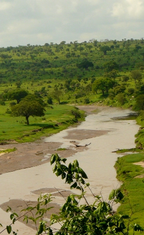 Tarangire River