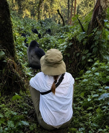 Uganda Safari Attractions