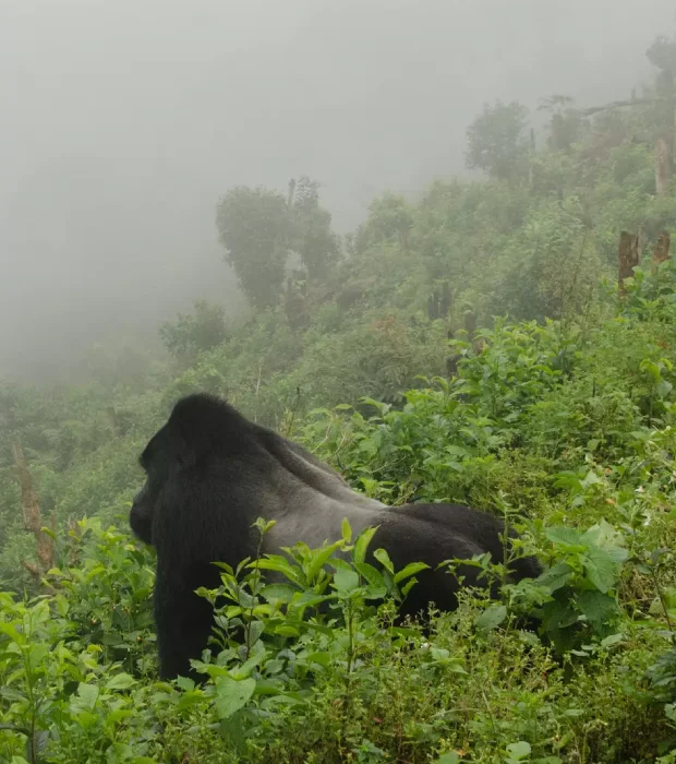 Uganda Destinations