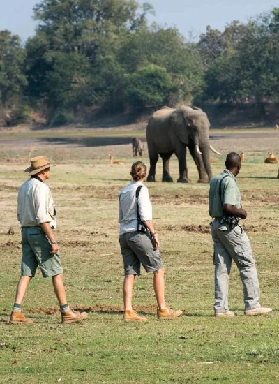 walking-safari-2