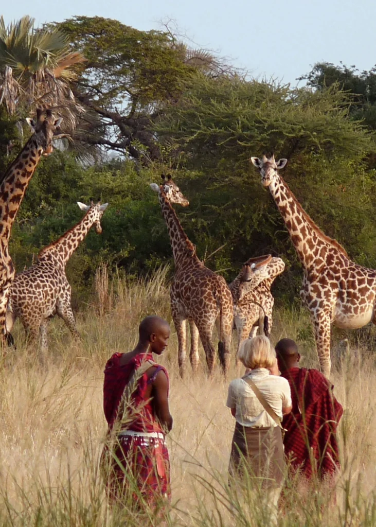 walking-safari-5