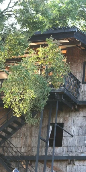 Aberdare National Park Tree Lodge