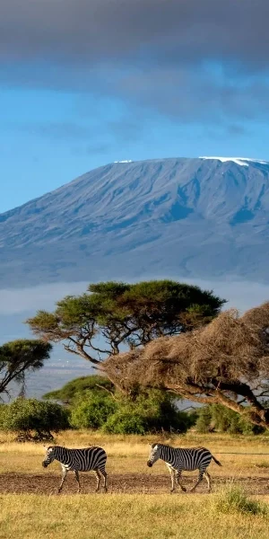 amboseli-national-park-12