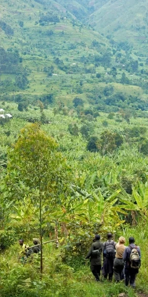 Bwindi Nature Walks