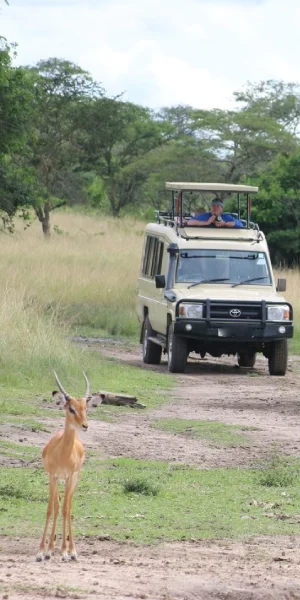 Game Drives