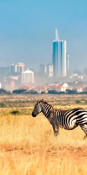 nairobi-national-park13