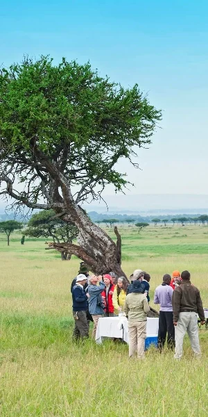 Tarangire Family Friendly Bush Picnic
