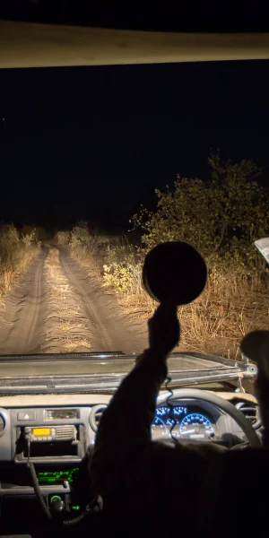 Tarangire Night Drive