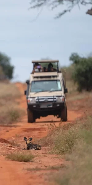 tsavo-west-national-park-12